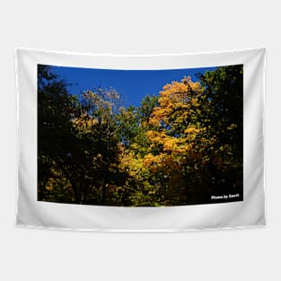 Fall Splendor and blue sky Tapestry