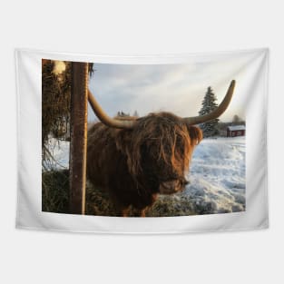 Scottish Highland Cattle Cow 2214 Tapestry