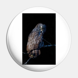 Spotlit - Great Grey Owl Pin