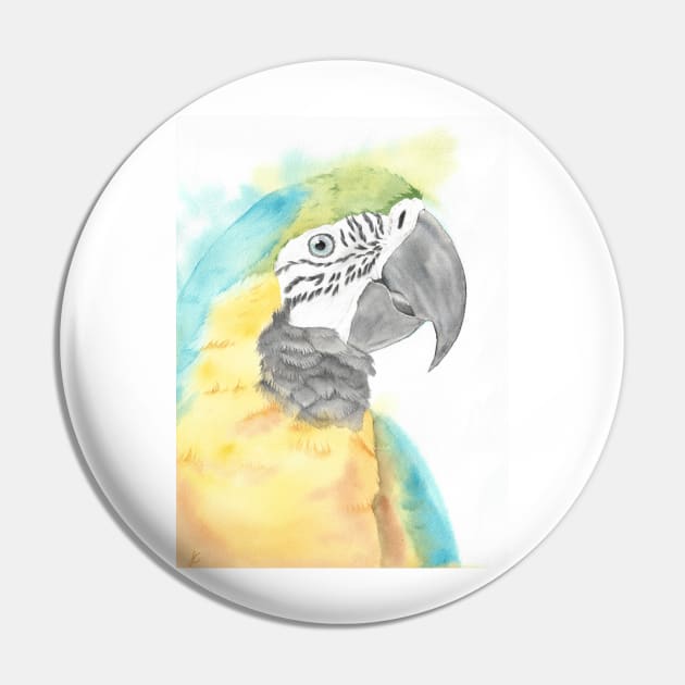 blue and gold macaw watercolor portrait bird parrot Pin by Oranjade0122