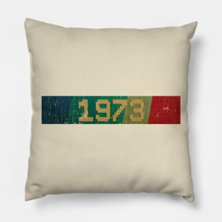 1973 - RETRO COLOR - VINTAGE Pillow