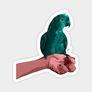 Parrot Magnet
