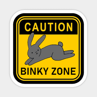 Caution Binky Zone Magnet