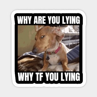 Why Are You Lying Funny Dog Meme Magnet