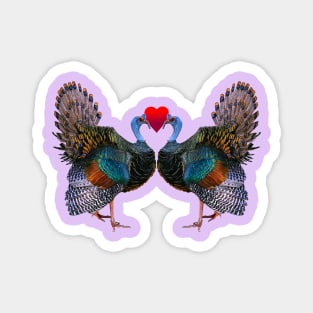 Ocellated Turkey Heart Pair Magnet