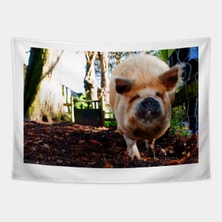 New Zealand Kunekune Pig Tapestry