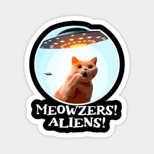 Ufo Cat Magnet