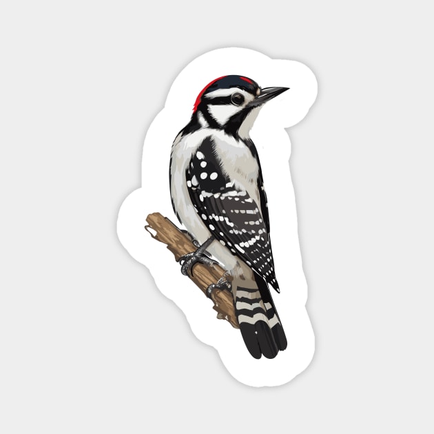 Downy Woodpecker Bird on a Tree Magnet by Klaro