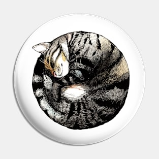 Tranquil Cat Sleeps in a Circle Pin