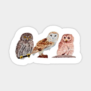 Trio of Owls gray background Magnet