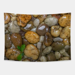Wet rock background Tapestry