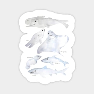 smiling sea animals Magnet