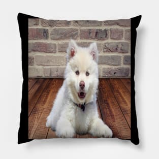 White dog Pillow