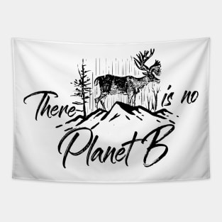 There is no planet B Tapestry