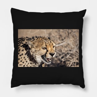 Cheetah face. Pillow