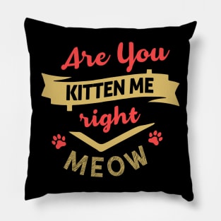 Are You Kitten Me Right Meow Pillow