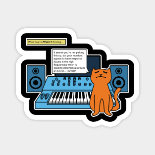 Cat on Music Studio Desk with Analogue Synth Magnet