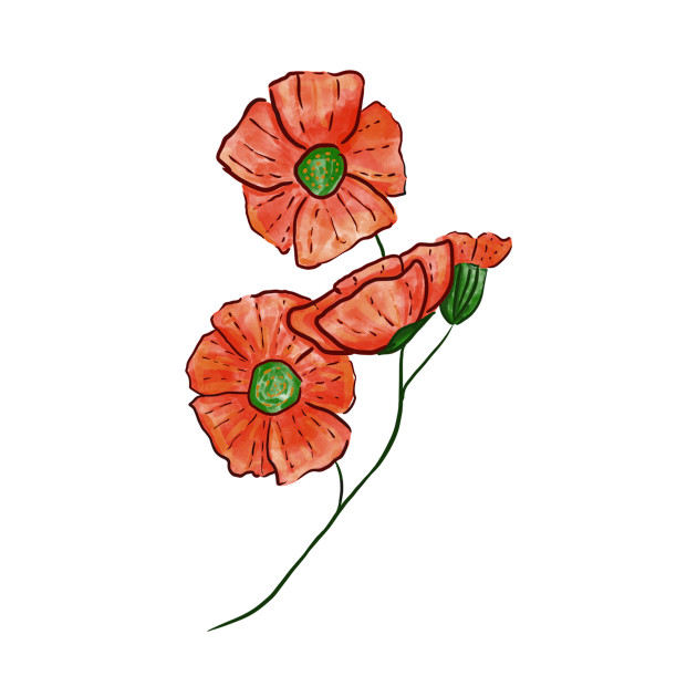 Poppy flower by Zjuka_draw