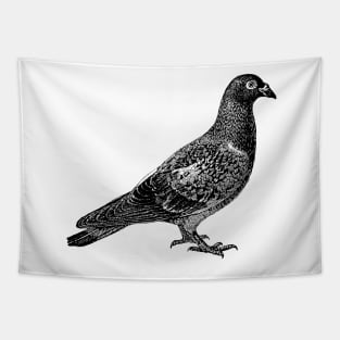 Pigeon in black Tapestry