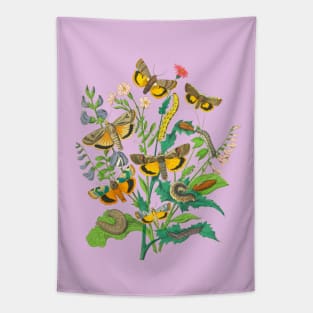 BUTTERFLIES Tapestry