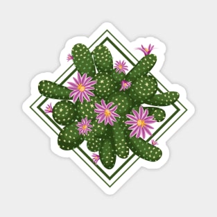 Blooming cactus Magnet