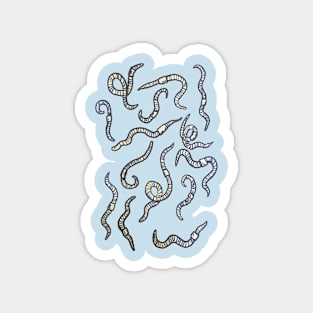 Worm Party Magnet