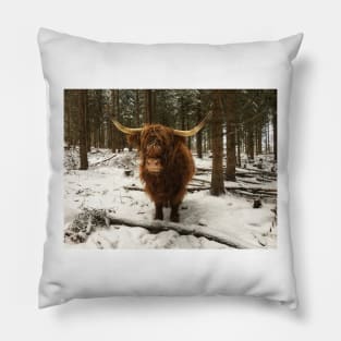 Scottish Highland Cattle Cow 2185 Pillow