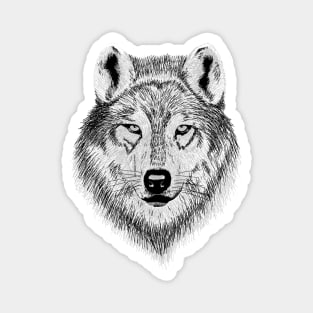 Hand drawn Wolf face Magnet