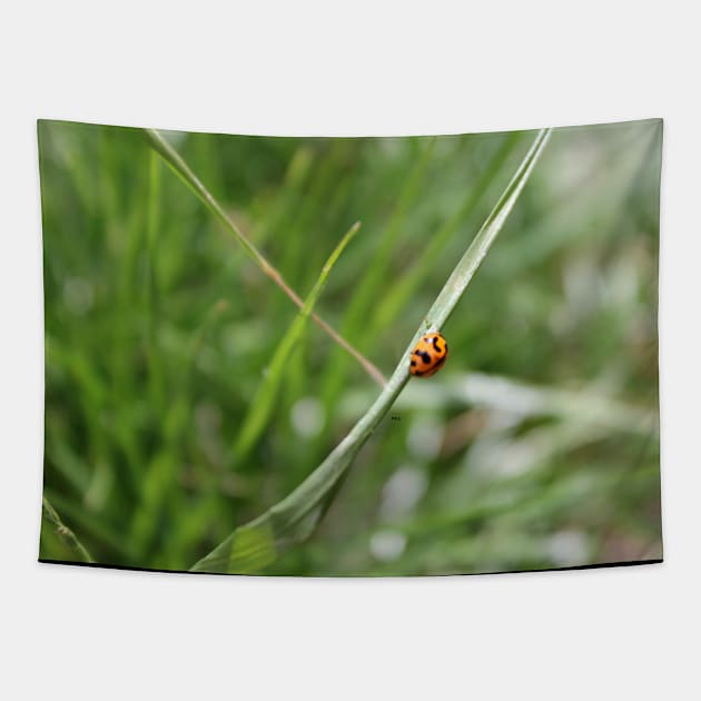 Lucky Ladybug in the grass Tapestry by HFGJewels