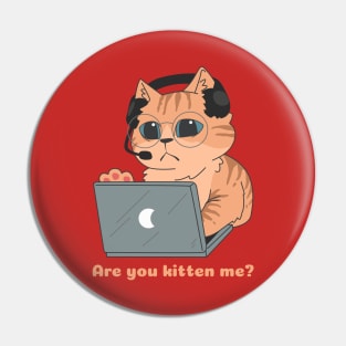 Are You Kitten Me? Pin