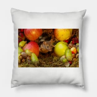 George the mouse in a log pile house - stand back apples super mouse coming through Pillow