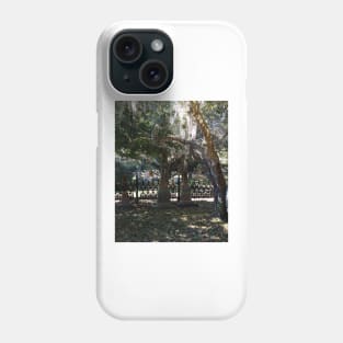 Tomb Fence Phone Case