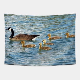 Canada Goose Family Going For a Swim Tapestry