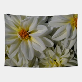 WHELLO FLOWERS PHOTOGRAPHY MY Tapestry