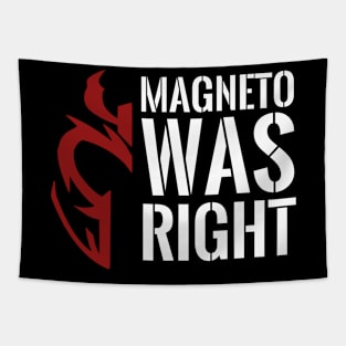 Magneto was right Tapestry