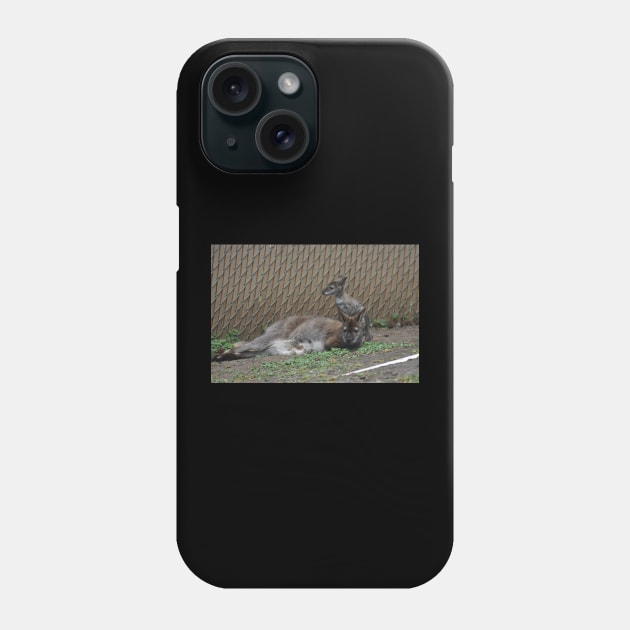 Wallaby and Joey Phone Case by MarieDarcy