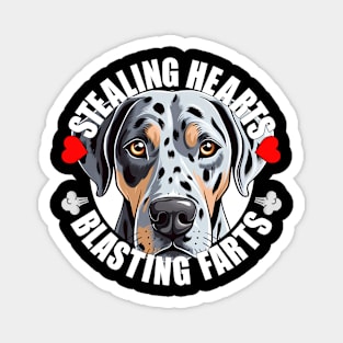 Funny Catahoula Leopard Dog Stealing Hearts Blasting Farts Dog Cute Puppy Magnet