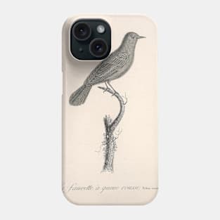 The Red Tailed Warbler Phone Case