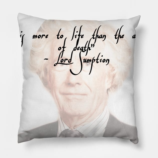 More To Life Pillow by Gabeland