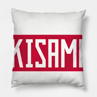 Kisama Beer Pillow