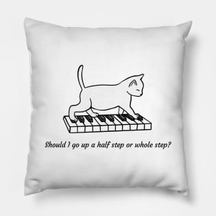 Music Theory Cat Pillow