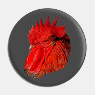 Red Rooster Pin