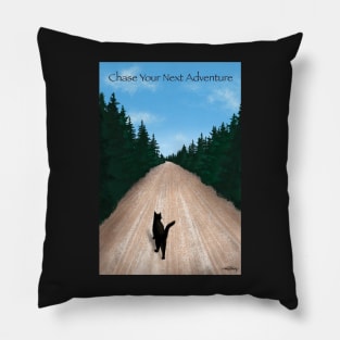 Inspirational Adventure Cat Pillow