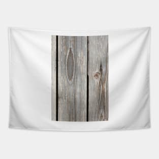 Wooden door Tapestry