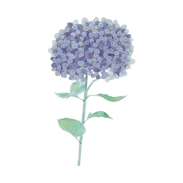 Hydrangea watercolor by Designs by Twilight