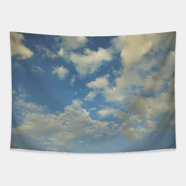 Sky Tapestry by MANALI