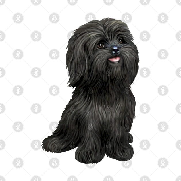 Adorable Black Shih Tzu by Dogs Galore and More