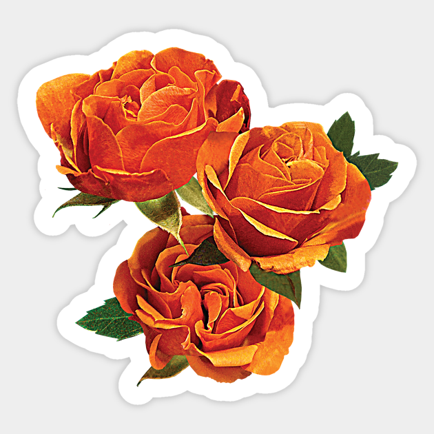 Burnt Orange Floral Sticker