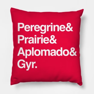 Helvetica Falcons Pillow