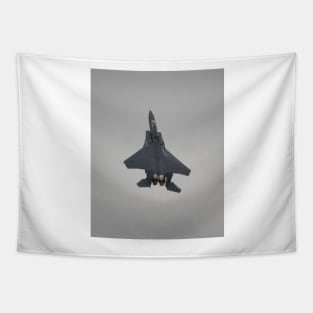 USAF F-15E Strike Eagle Tapestry